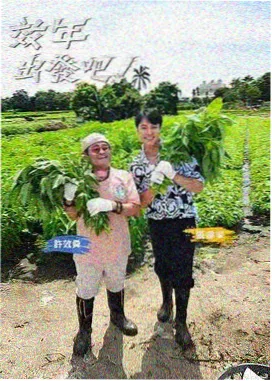 周末改造家 综艺海报